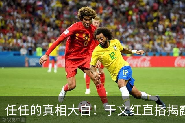 任任的真相大白！于文红直播揭露背后的爱情故事与跌宕起伏